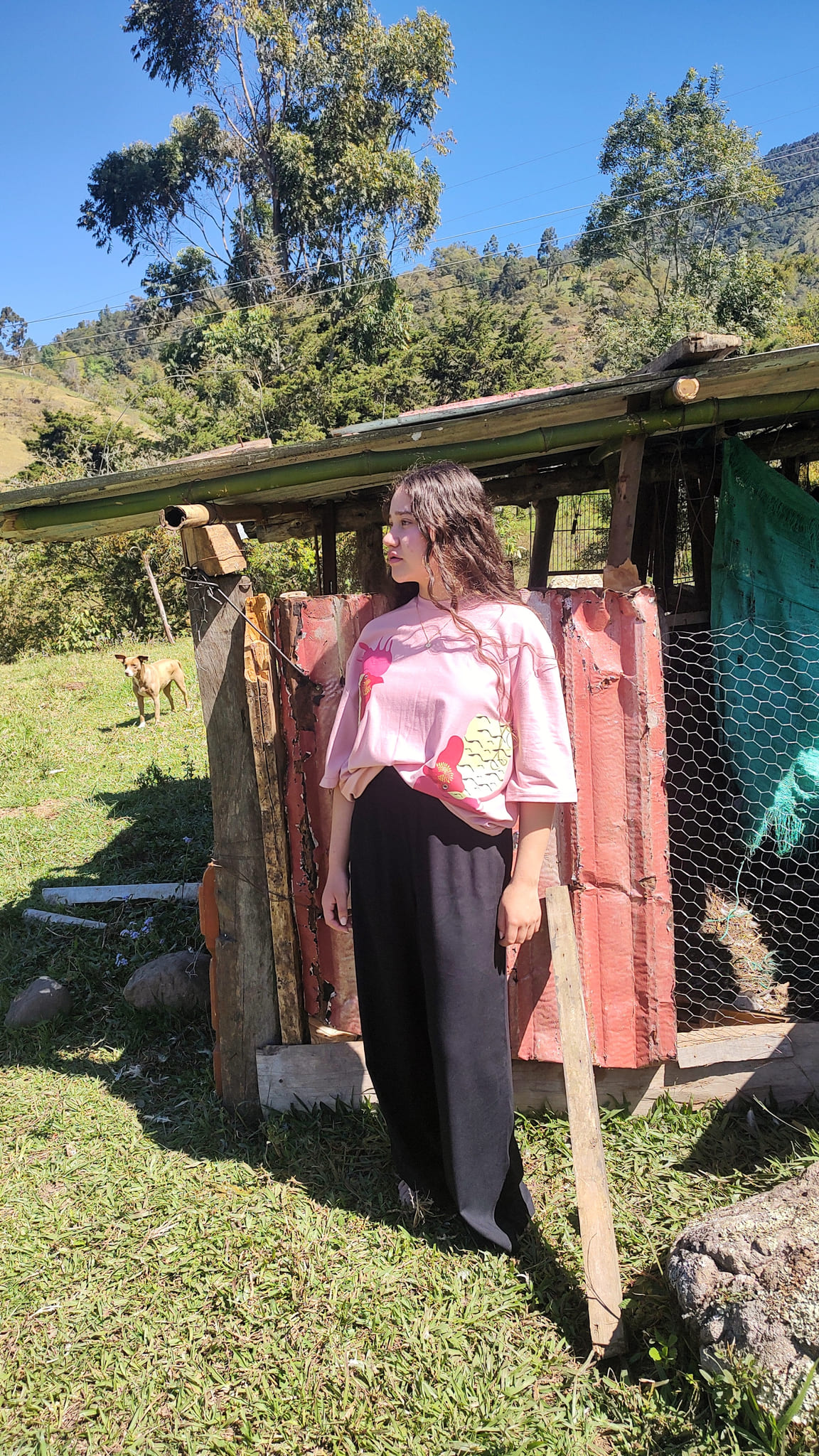 Camiseta gallitos