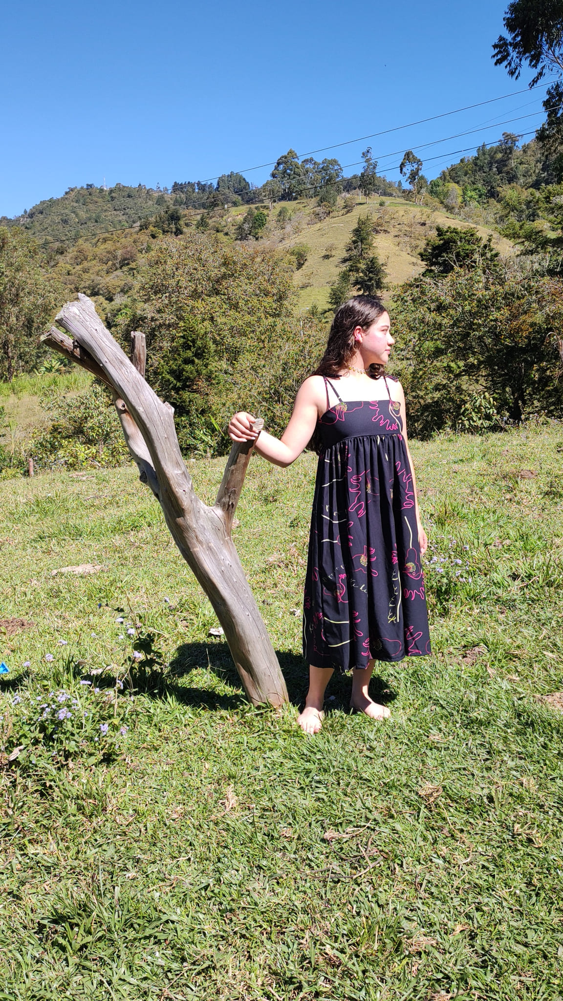 Vestido gallitos