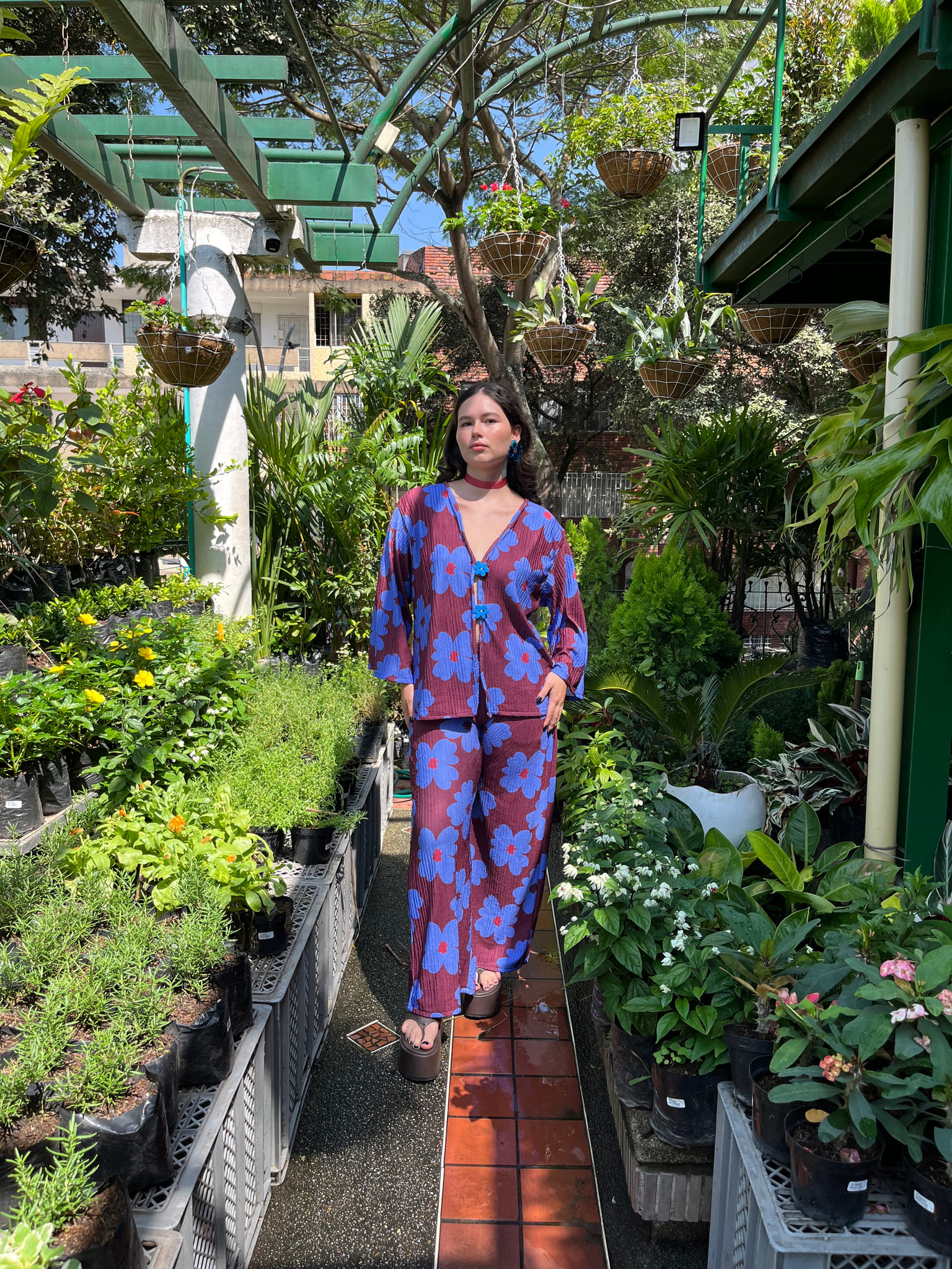 Set dalia